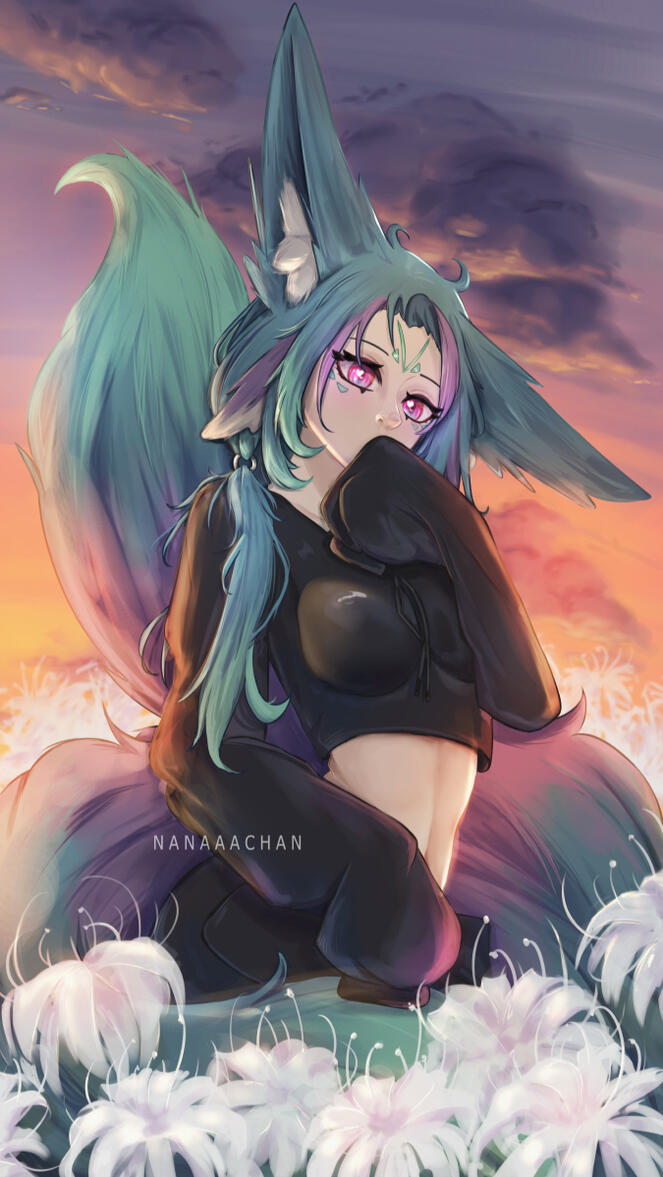 Lily field - 2026
